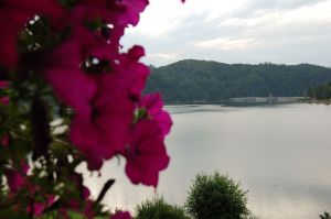 widok na jezioro, różowe kwiaty i zaporę